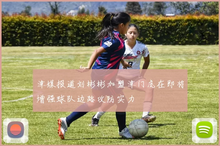 津媒报道刘彬彬加盟津门虎在即将增强球队边路攻防实力